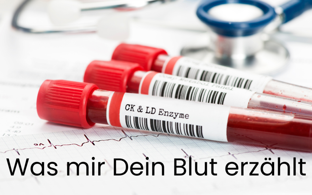 Was mir Dein Blut erzählt